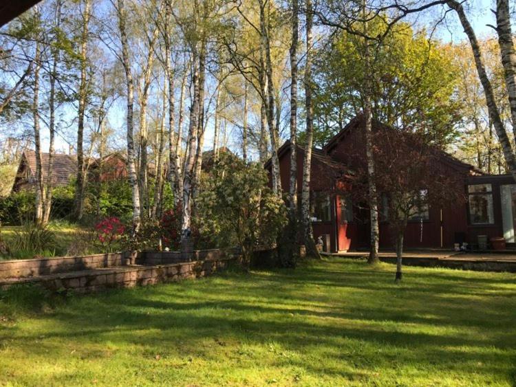 Pine Chalet Muir of Ord Bagian luar foto